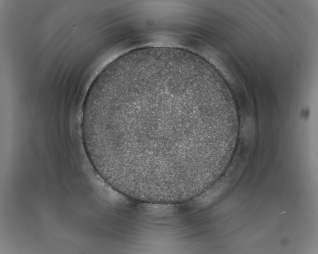 X0000091960856200709271345