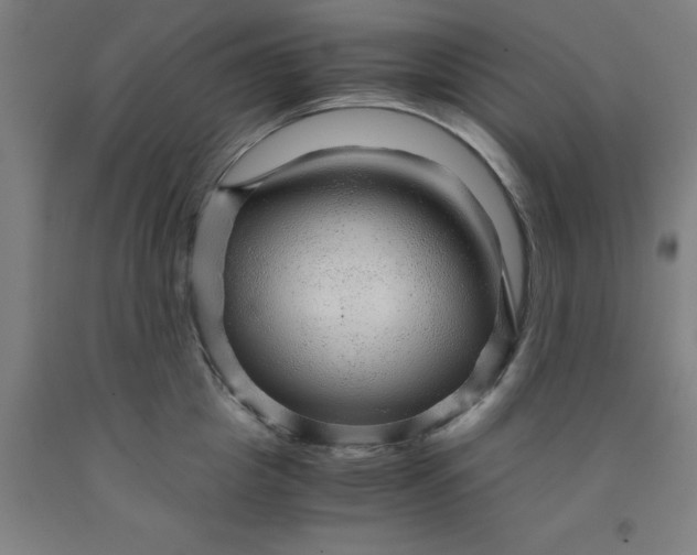 X0000091960857200709271345