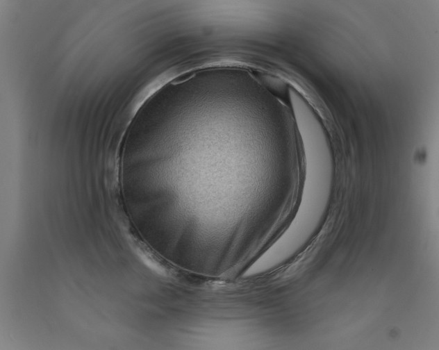 X0000091960858200709271345