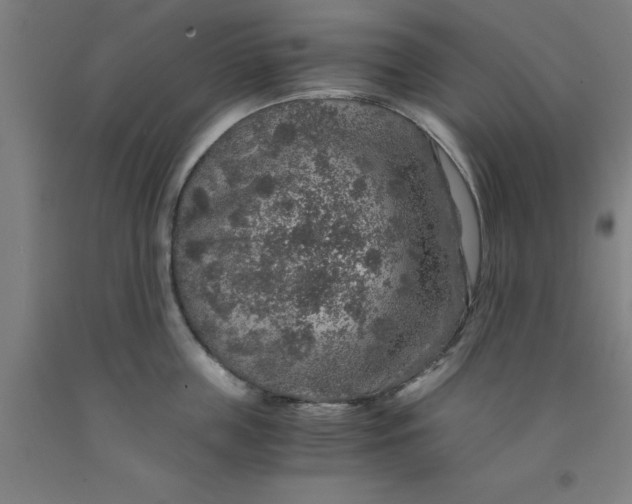 X0000091960859200709271345