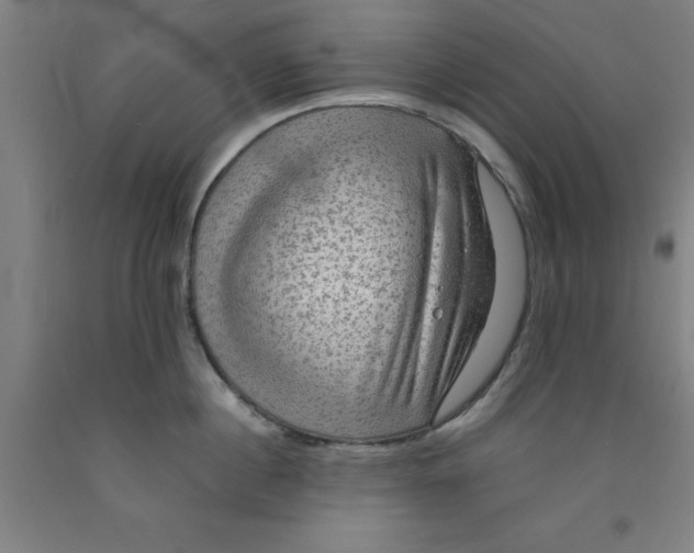 X0000091960860200709271345