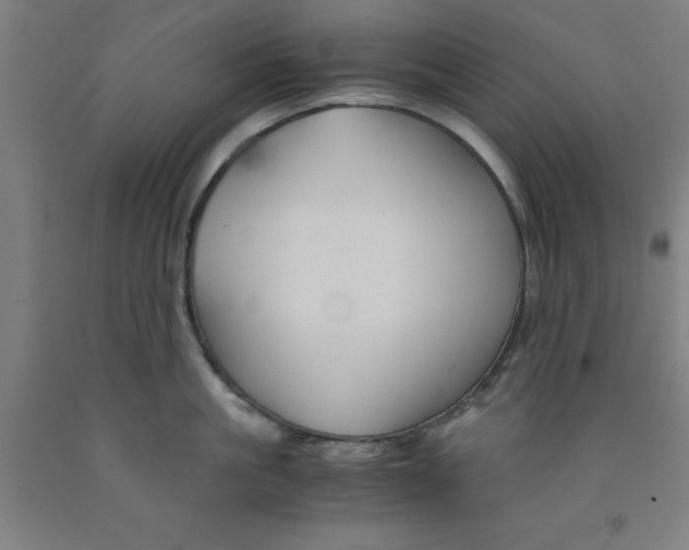 X0000091960861200709271345