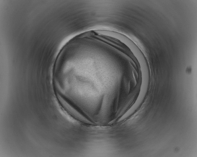 X0000091960862200709271345