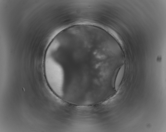 X0000091960863200709271345