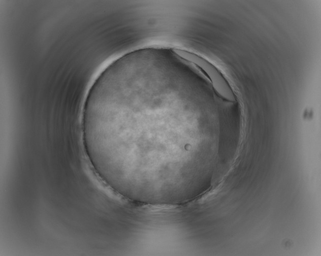 X0000091960864200709271345