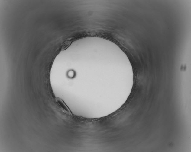 X0000091960865200709271344