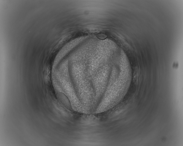 X0000091960866200709271344