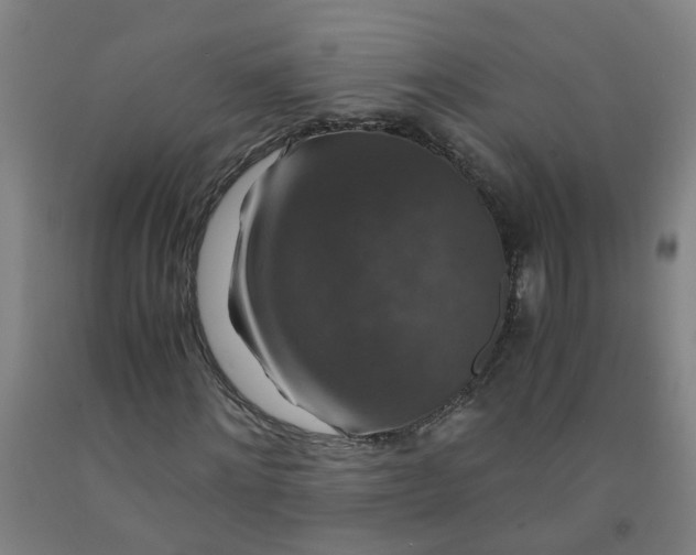 X0000091960868200709271344