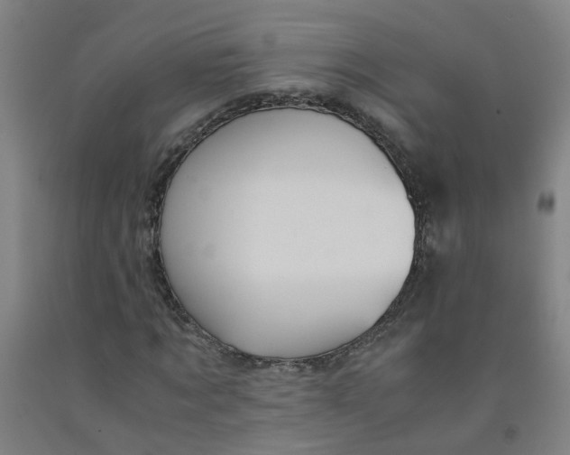 X0000091960869200709271344