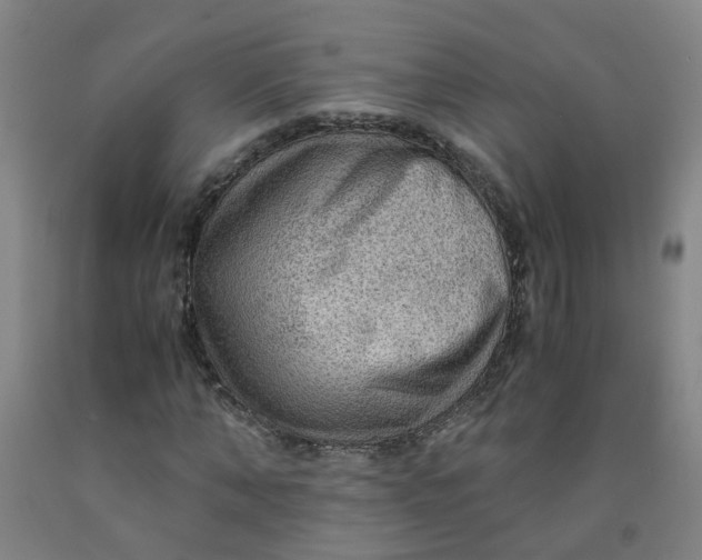 X0000091960870200709271344