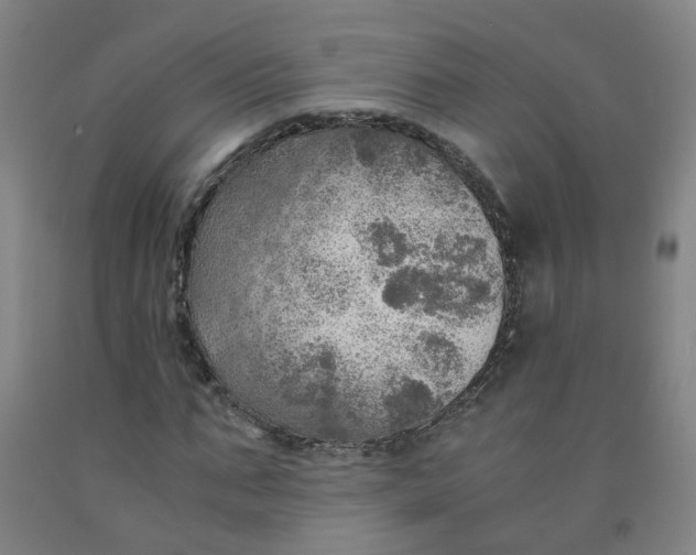 X0000091960871200709271344