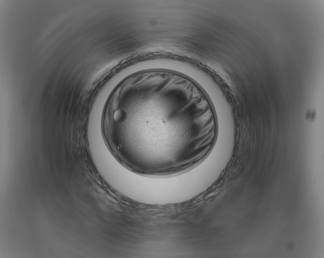 X0000091960872200709271344