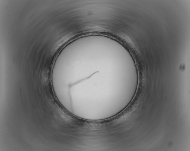 X0000091960873200709271344