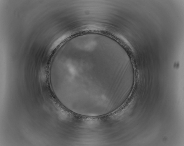 X0000091960874200709271344