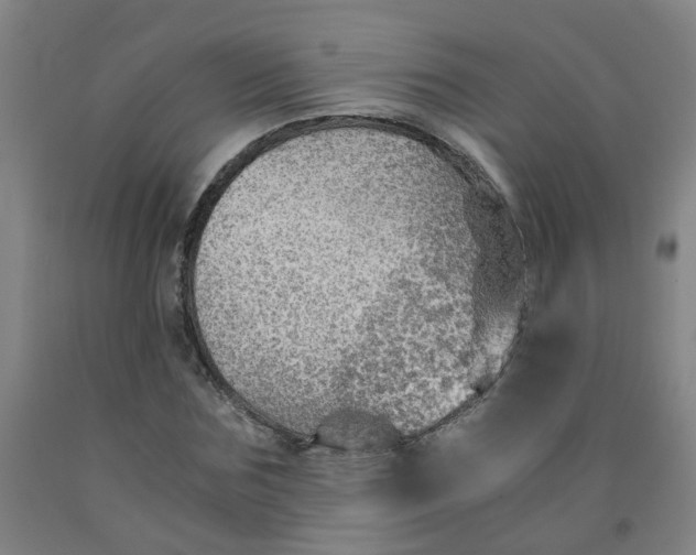 X0000091960875200709271344