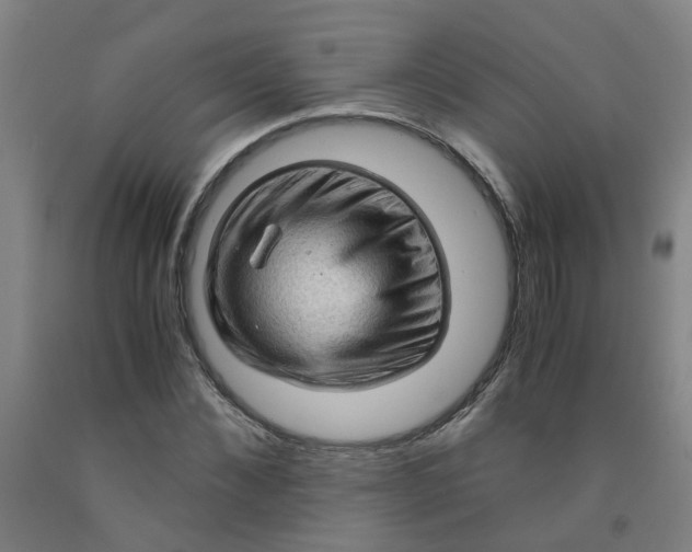 X0000091960876200709271344