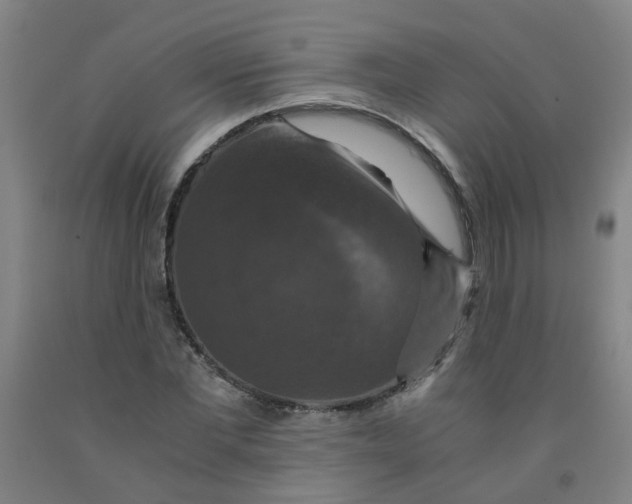 X0000091960877200709271344