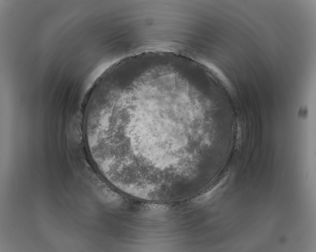 X0000091960878200709271344