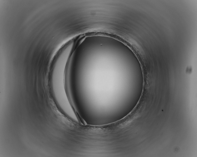 X0000091960880200709271344