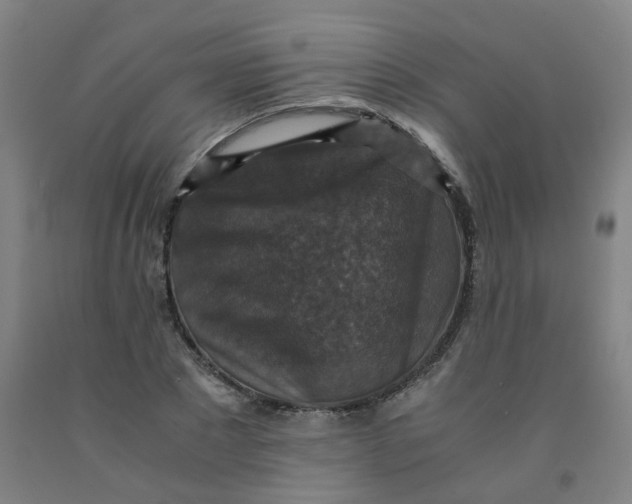 X0000091960881200709271344