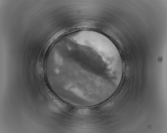 X0000091960882200709271344