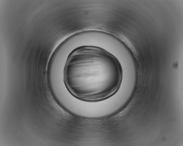 X0000091960884200709271344