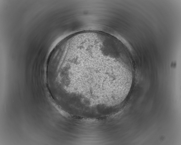 X0000091960886200709271344