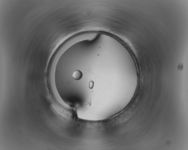 X0000091960887200709271344