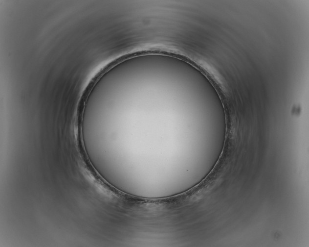 X0000091960888200709271344