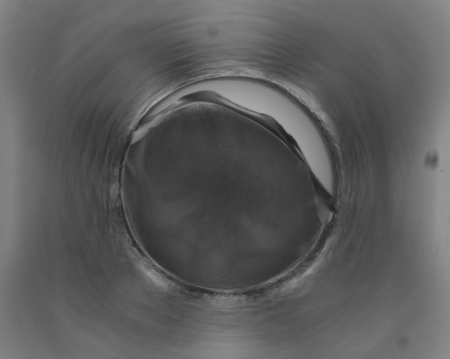 X0000091960889200709271344