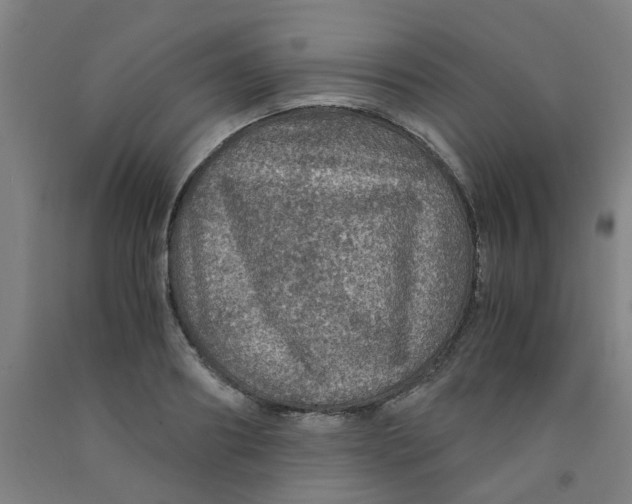 X0000091960890200709271344