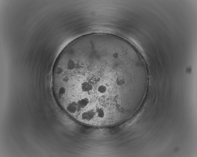 X0000091960891200709271344