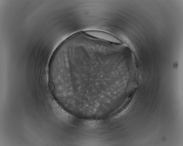 X0000091960892200709271344