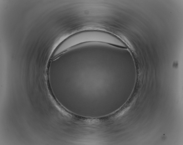 X0000091960893200709271344