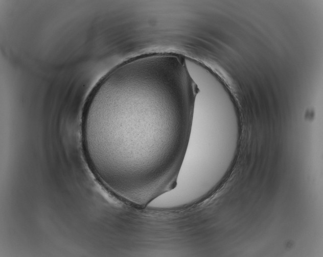 X0000091960894200709271344