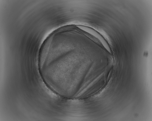 X0000091960896200709271344