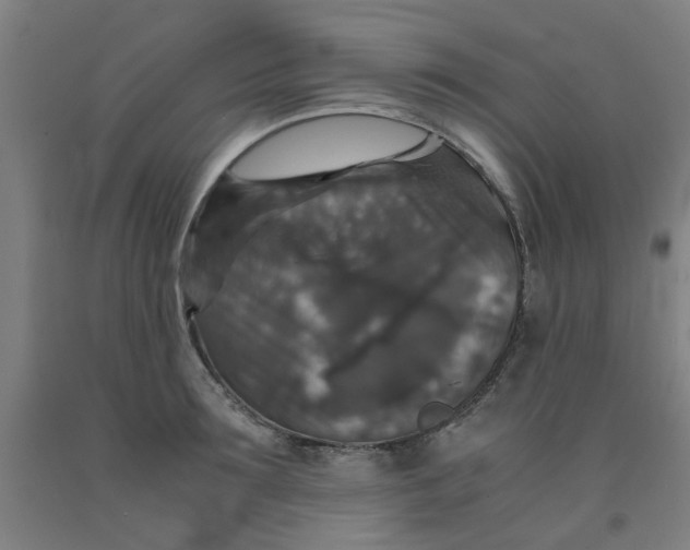 X0000091960899200709271344