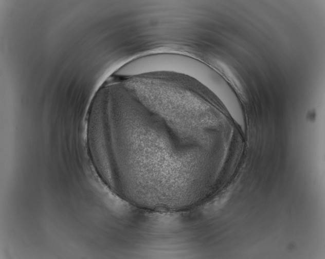 X0000091960900200709271344