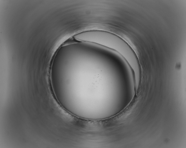 X0000091960901200709271344