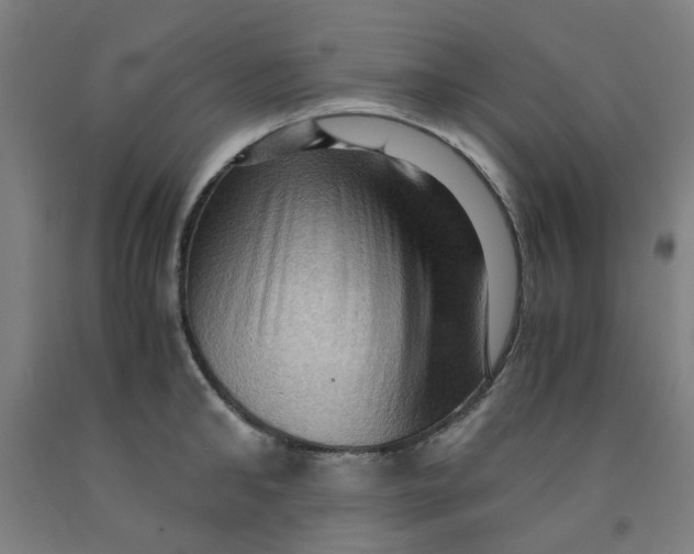 X0000091960902200709271344