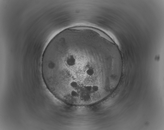 X0000091960903200709271344