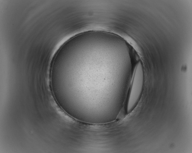 X0000091960904200709271344