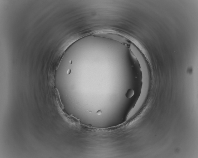 X0000091960905200709271344