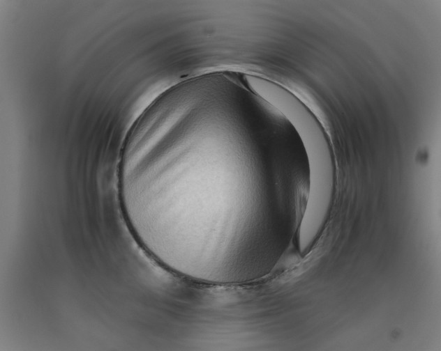 X0000091960906200709271344