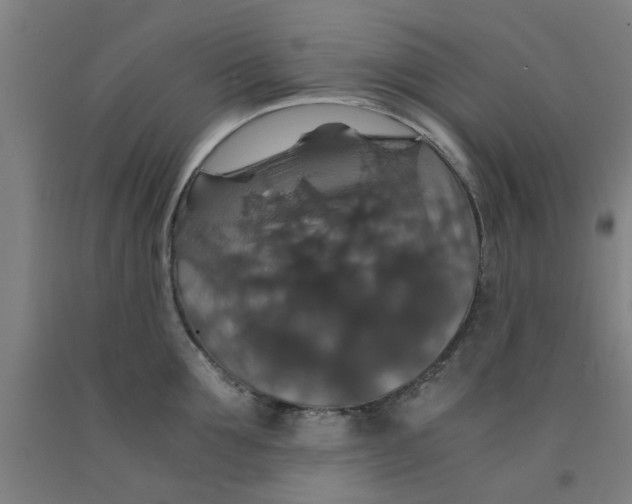 X0000091960907200709271344