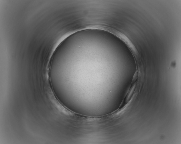 X0000091960908200709271344