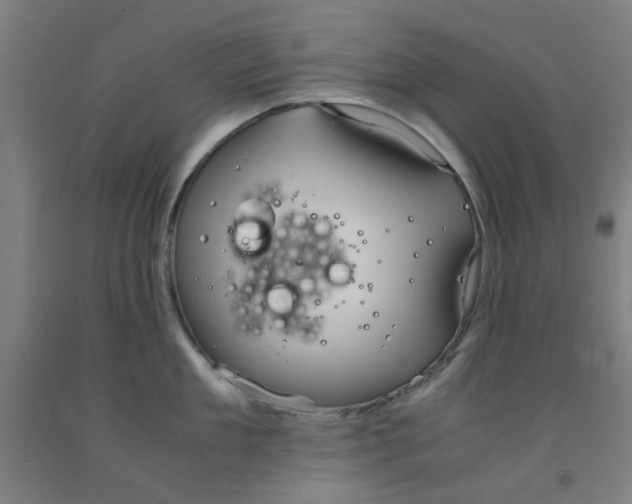 X0000091960909200709271344