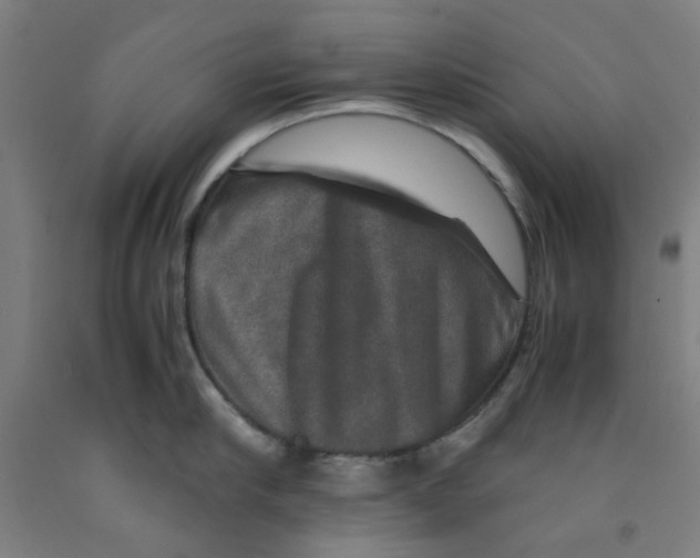 X0000091960910200709271344