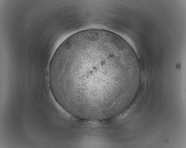 X0000091960911200709271344