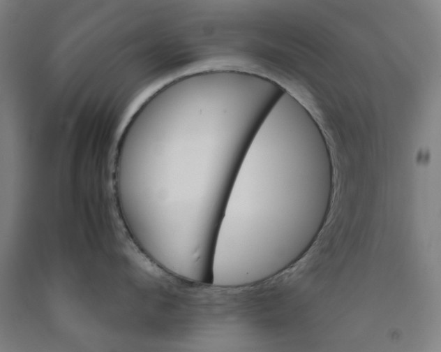 X0000091960912200709271344